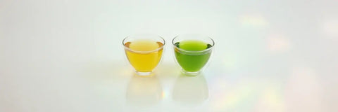 Comparison of Sencha vs Green Tea by a Tea Sommelier