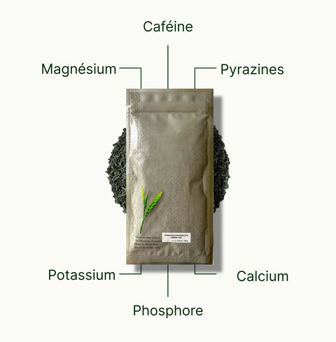 6ad63e3b7b026_nio-teas-chanoka-kamairicha-loose-leaf-green-tea-nutritional-benefits_be68c2d6-9893-43ad-97b9-eb2aef3a8f6a_fr.webp