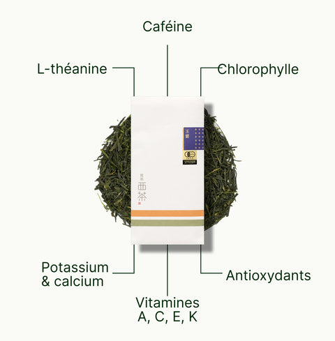 6ad63e4a93e54_nio-teas-nishi-gyokuro-saemidori-kagoshima-nutritional-benefits_a82f7198-6bac-4997-82c8-57a250ce4918_fr.webp