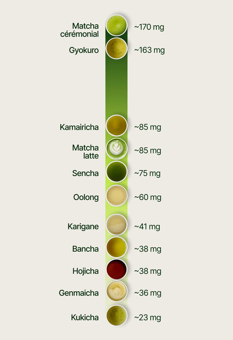 6ad63eb6d89be_caffeine_chart_fr.webp