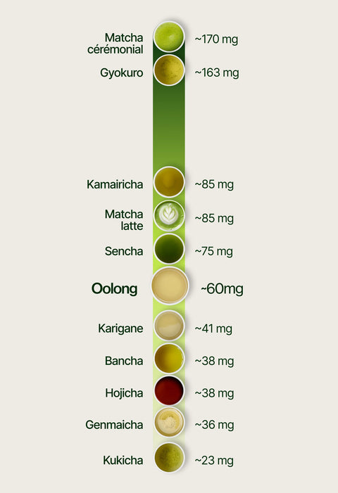 6ad63ebe6d11d_caffeine_chart_oolong_fr.webp