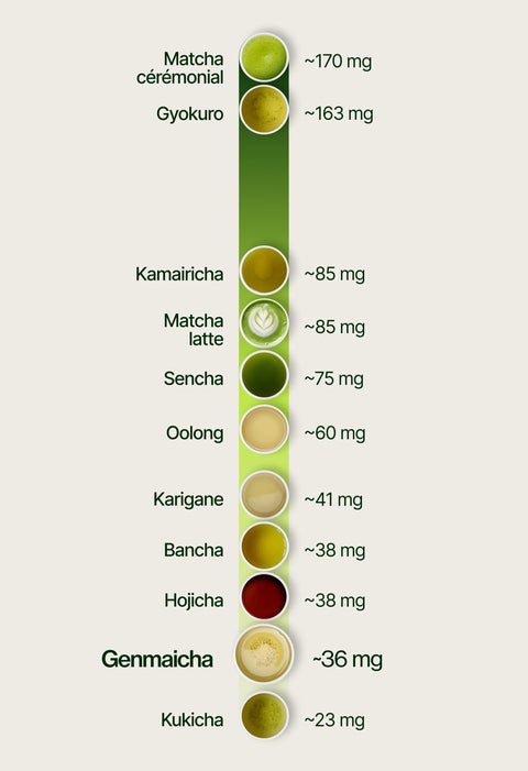 6ad63ebeca7c8_caffeine_chart_genmaicha_fr.webp