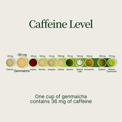 Thé vert Genmaicha Popcorn