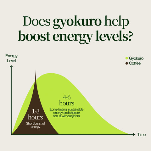 Nishi Gyokuro