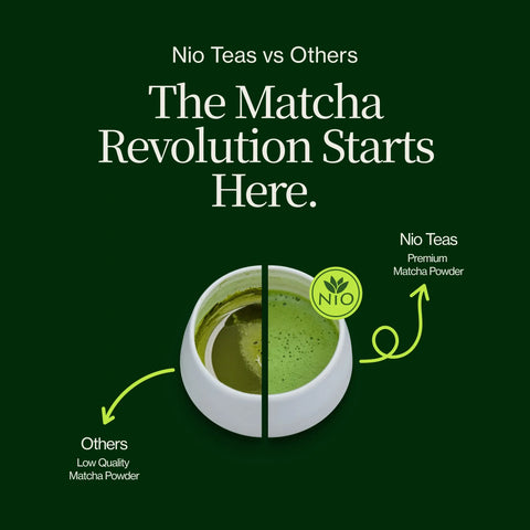 Chanoka Yabukita Matcha