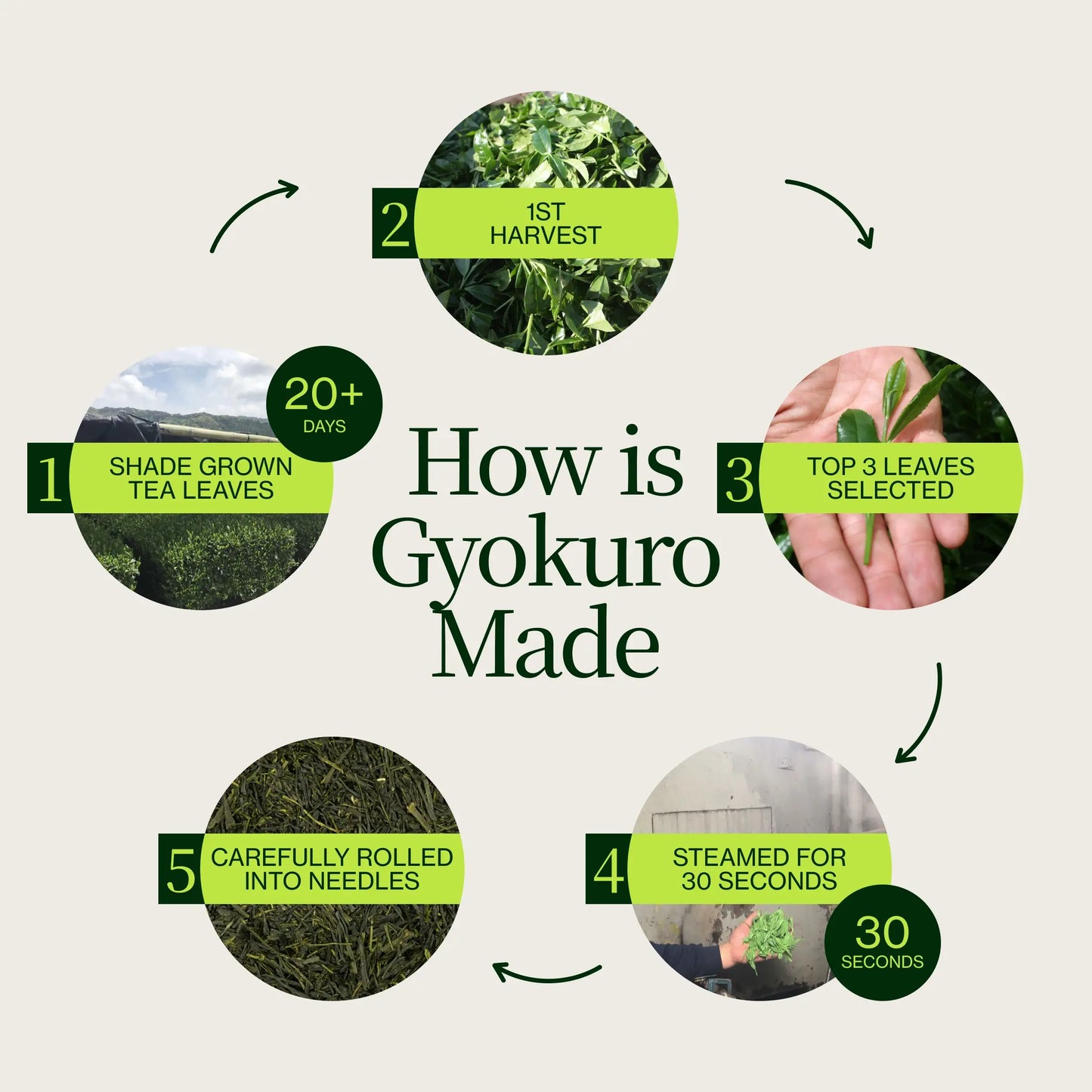 Gyokuro Zen Sakamoto