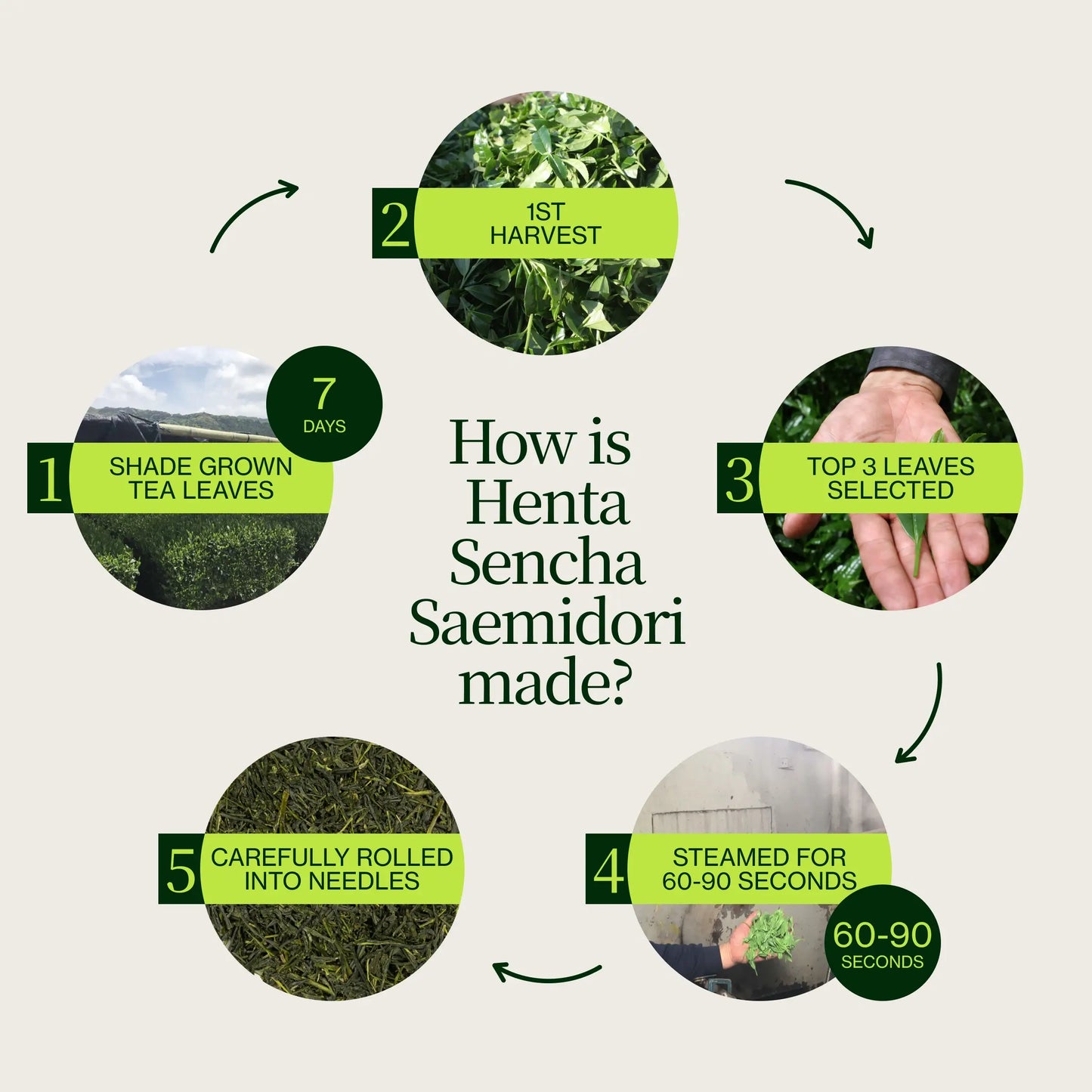 Sencha Saemidori Henta