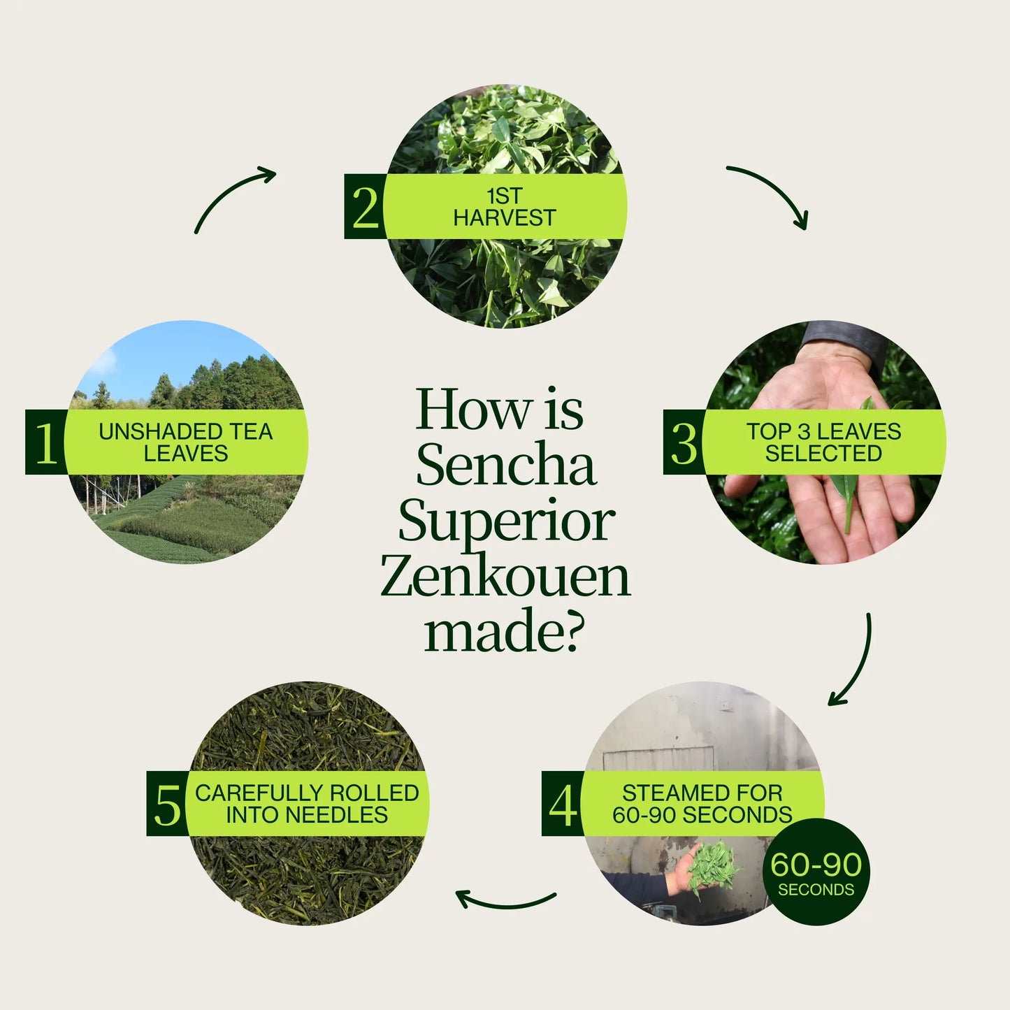 Sencha Premium Zenkouen