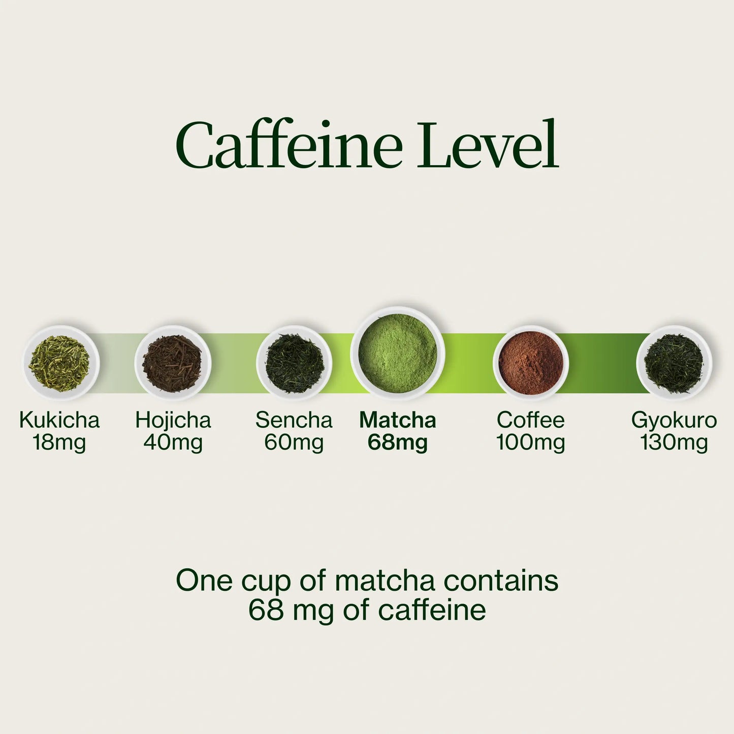Premium Matcha Latte