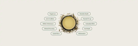 White tea tea blog