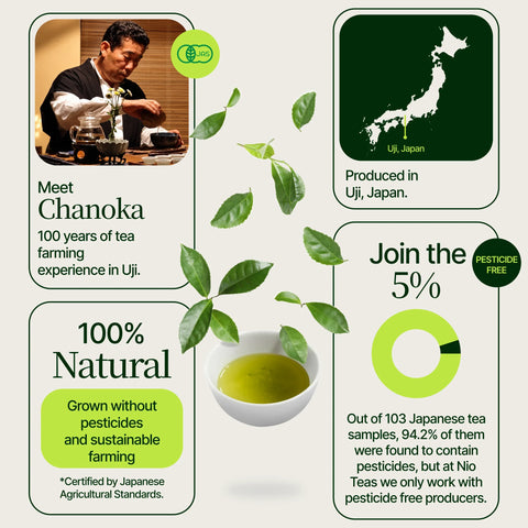 Chanoka Yabukita Matcha
