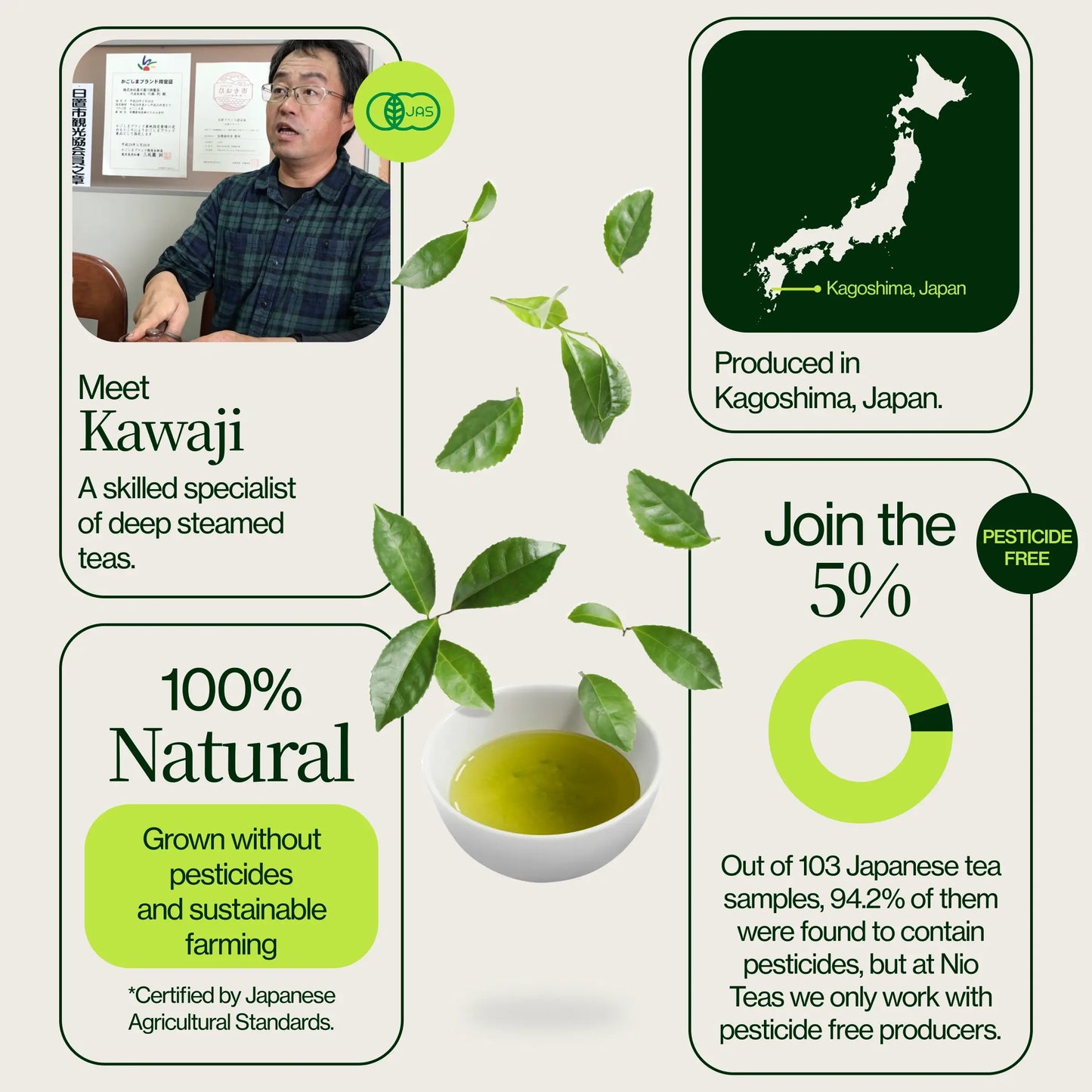 Sencha Yabukita Kasugaen