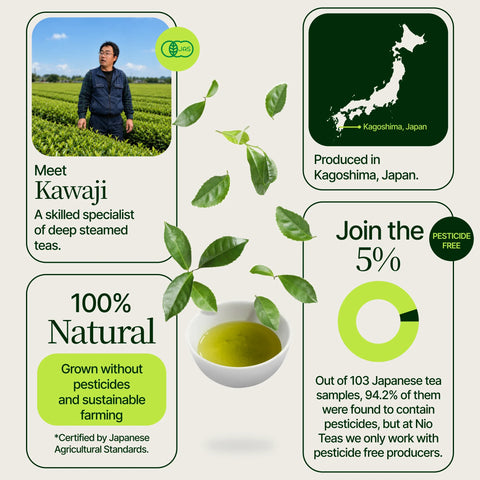 Sencha doré Yabukita Kasugaen