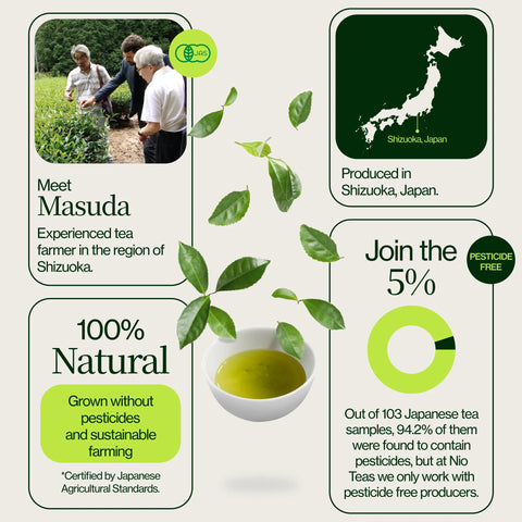 Thé vert Genmaicha Popcorn