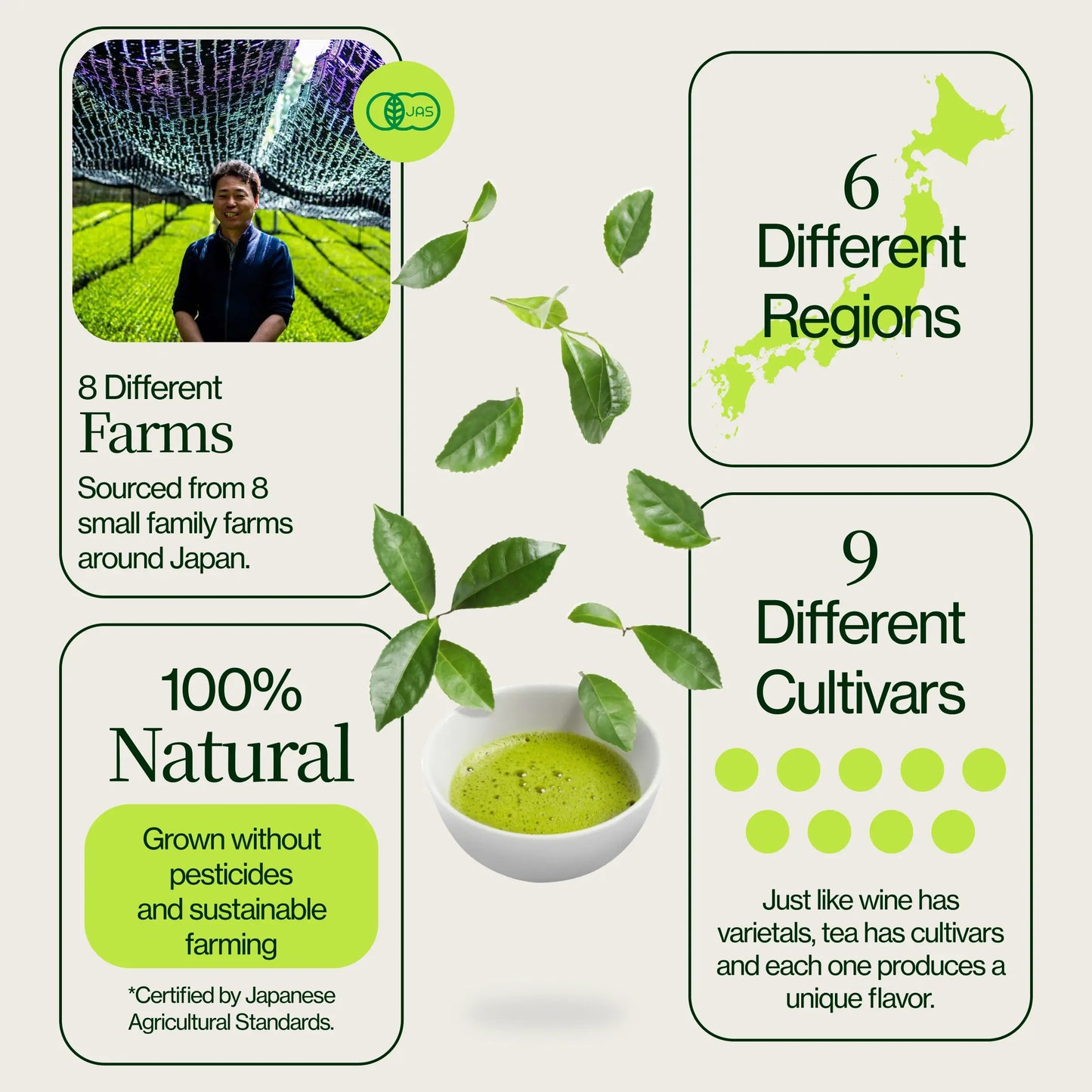 Coffret de 18 échantillons de Matcha