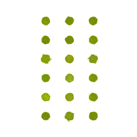 Coffret de 18 échantillons de Matcha