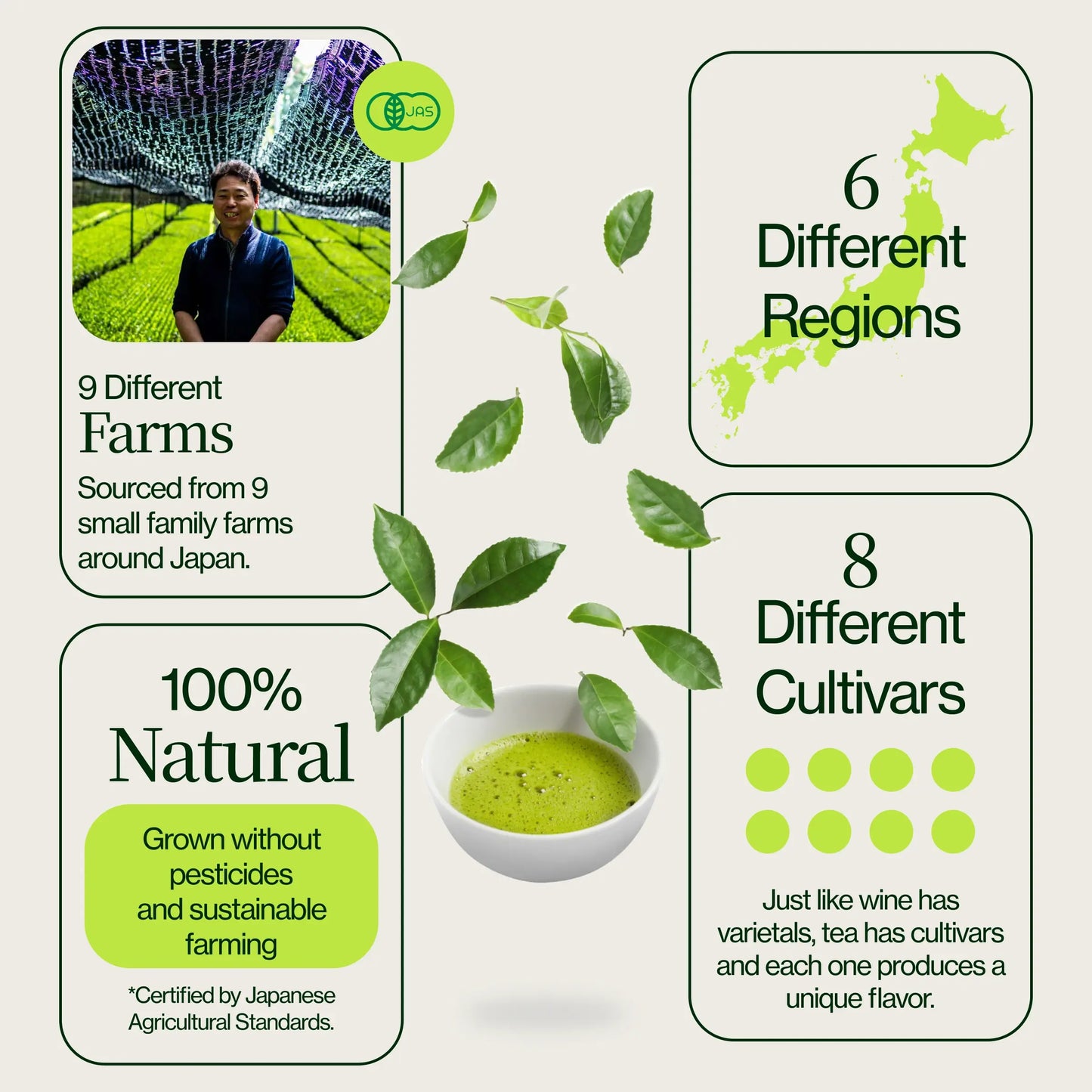 Échantillons de 21 Thés Matcha avec Fouet à Matcha