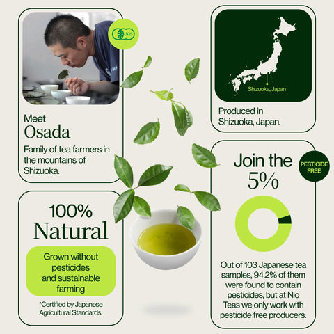 Thé Matcha japonais Osada Okumidori