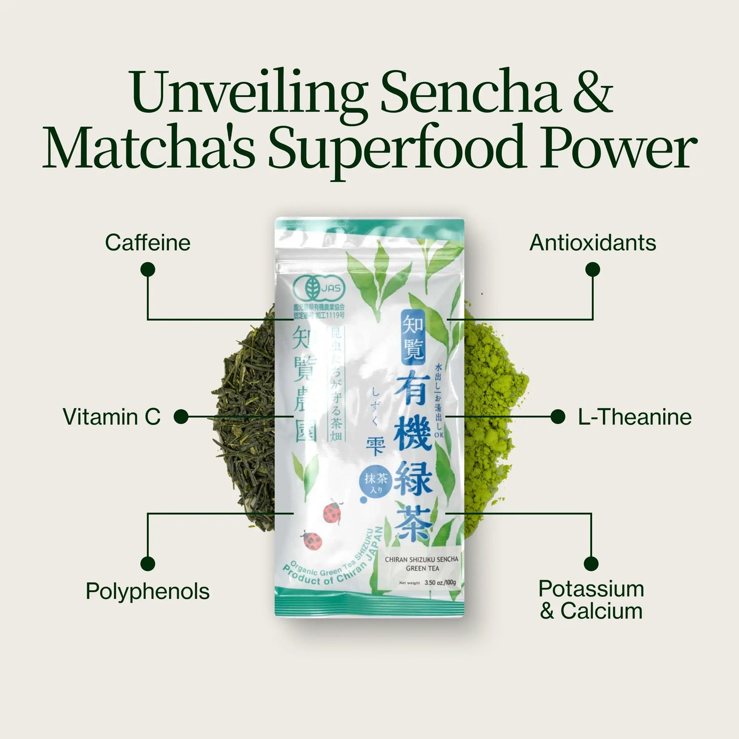 Sencha Matcha Shizuku