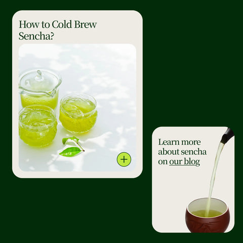 Sencha Kasugaen Asatsuyu