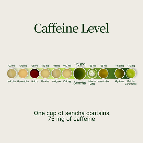 Sencha doré Yabukita Kasugaen