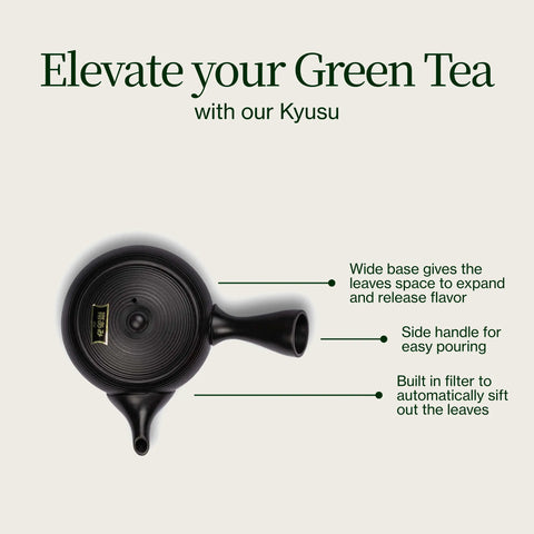 Théière Tokoname Kyusu Fukamushi