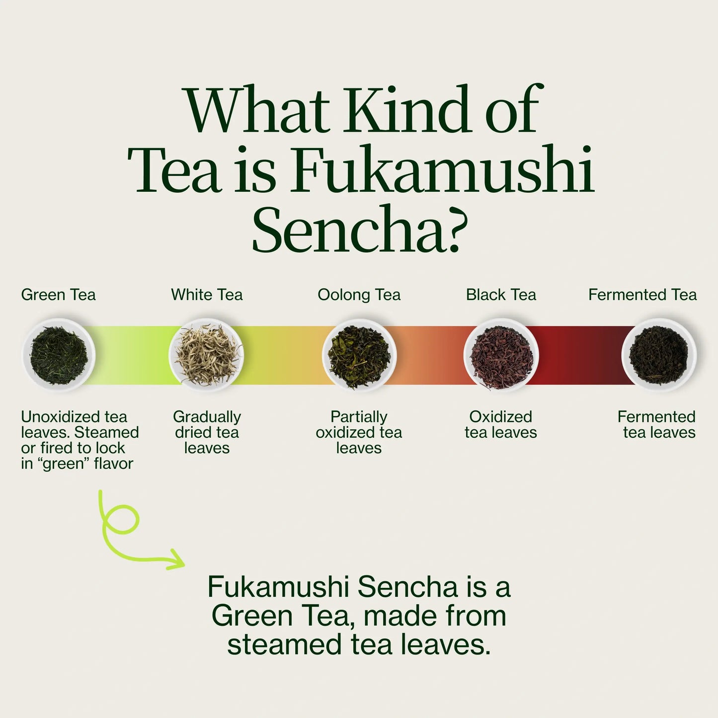 Sencha Saemidori Henta