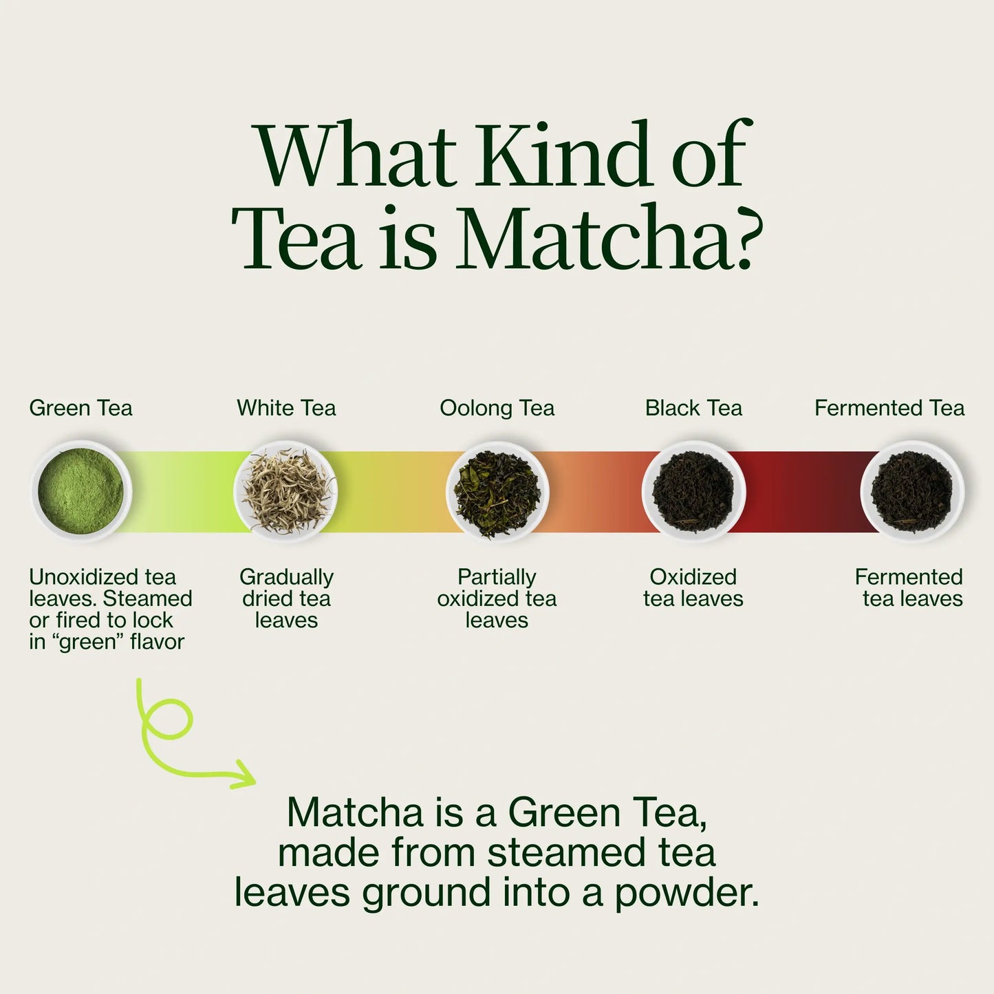 Premium Matcha Latte