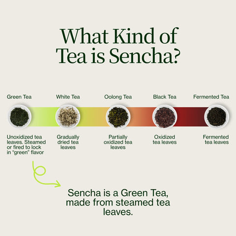 Sencha Supérieur Zenkouen