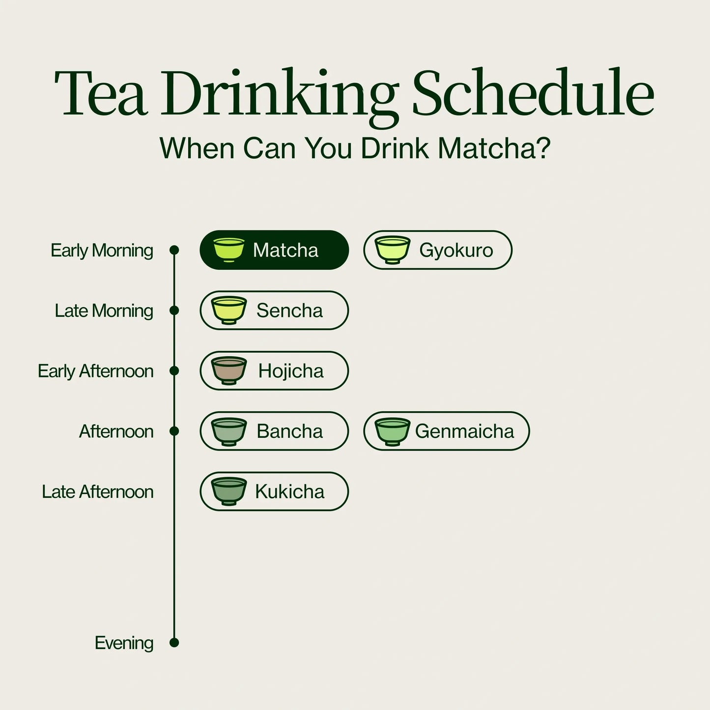 Premium Matcha Latte