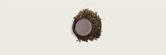 Tea Expert Reveals 9 Hojicha Benefits