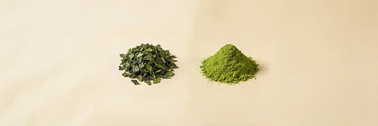 Konacha vs Matcha: What Makes These Japanese Green Teas Different