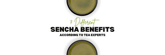 sencha benefits