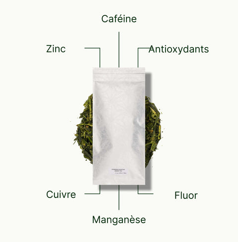 6ad63e405cb02_nio-teas-chanoka-kukicha-green-tea-nutritional-benefits_263024fd-9d98-42c2-87f1-89c3d7a03d4b_fr.webp