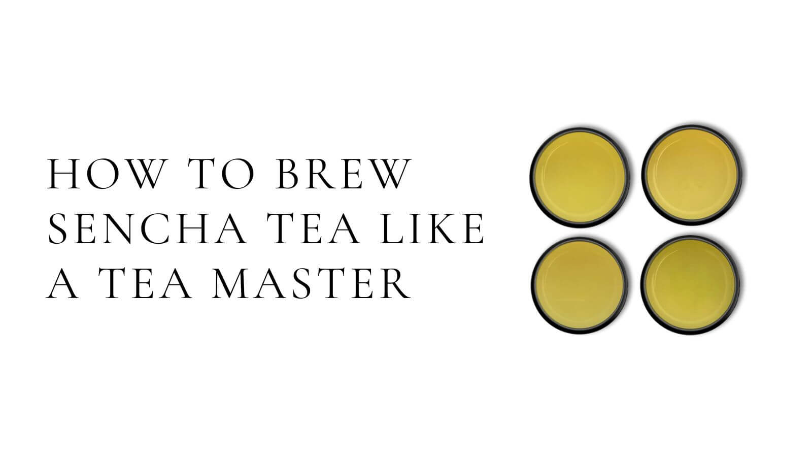 Charger la vidéo : Comment infuser du thé sencha comme un maître du thé