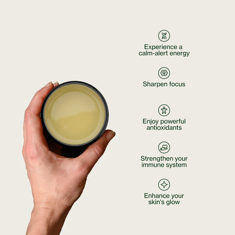 Sencha doré Yabukita Kasugaen