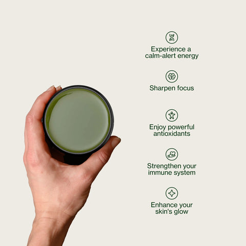 Sencha Shizuku avec Poudre de matcha
