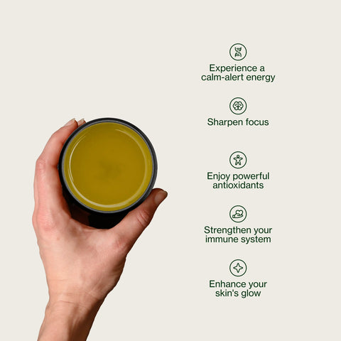 Sencha Supérieur Zenkouen