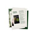 A stack of printed matcha-related booklet pages fanned out on a white background, with one page titled "Nutrients in Matcha" showing text and a photo of green matcha powder in a bowl.