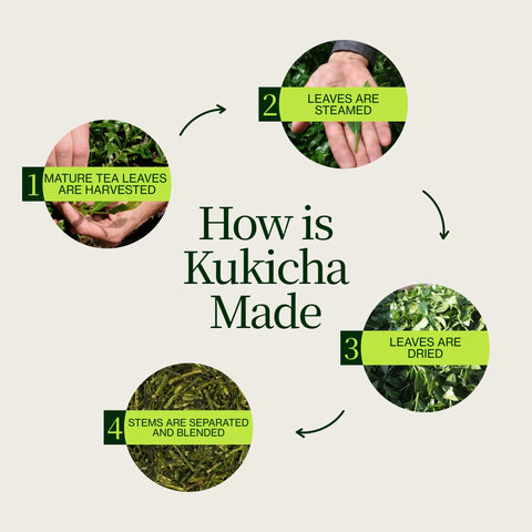 Thé vert Chanoka Kukicha