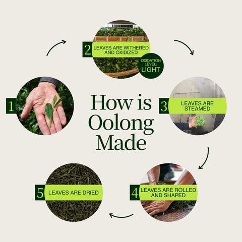 Thé Oolong des Hautes Montagnes Miyazaki