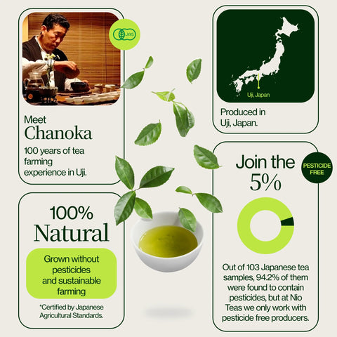 Uji Sencha Chanoka