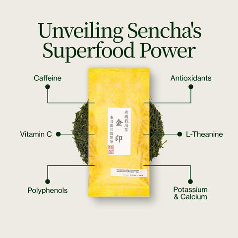 Sencha doré Yabukita Kasugaen