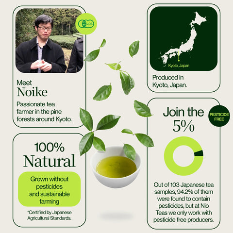 Thé vert Hojicha torréfié Noike
