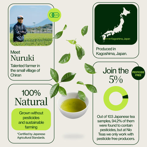 Thé vert Matcha premium Chiran de qualité supérieure