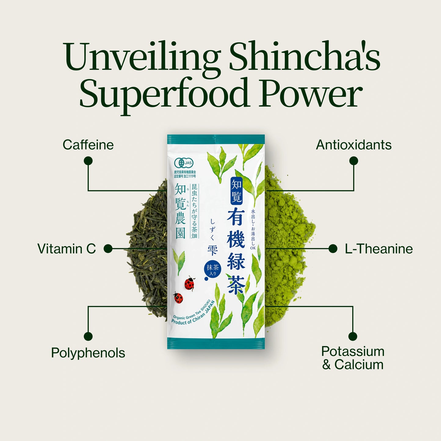Shincha Shizuku Chiran 2026 avec poudre de Matcha